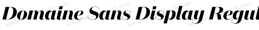 Domaine Sans Display Regula字体转换